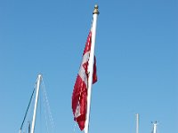 DSC 0046