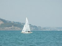 DSC 0608