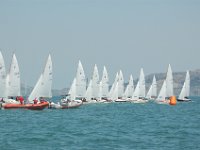 DSC 0612