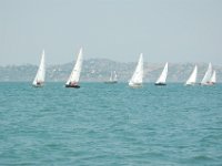DSC 0617